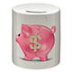 M1151 Savings tin