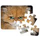 PL-PU0 12 Piece Polymer Puzzle