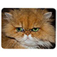 PL-PU0 12 Piece Polymer Puzzle PL-PU0 12 Piece Polymer Puzzle