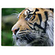 PU4 300 Piece A3 Puzzle PU4 300 Piece A3 Puzzle