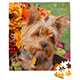 PU4-1 210 Piece Puzzle