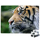 PU4 300 Piece A3 Puzzle