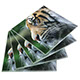 GL17a Glass Coaster